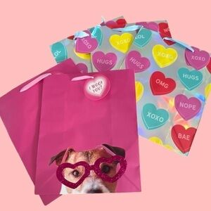 5 large Valentine’s Day gift bags